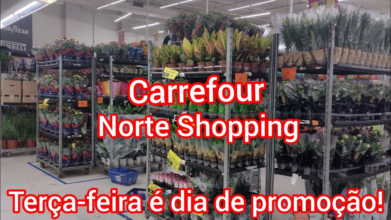 Plantas no Carrefour Norte shopping!#viral #viralyoutubevideo #flores #viralvideo #casa #amigos #sol
