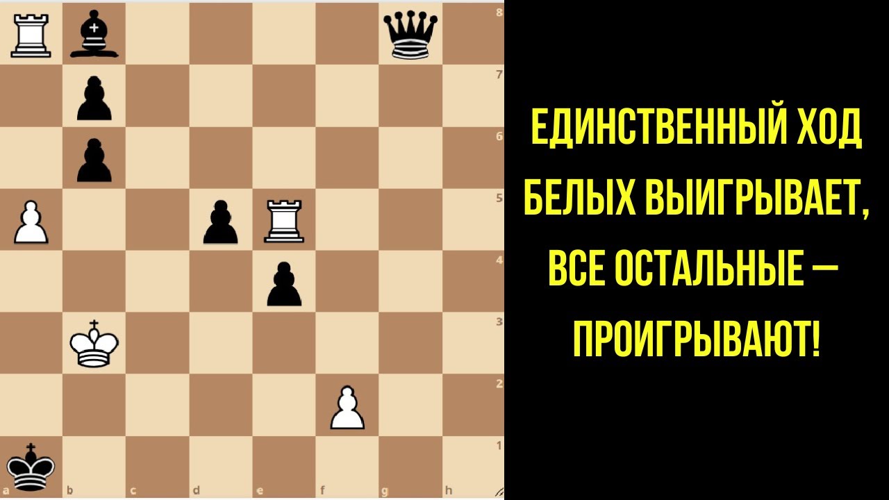 Безнадежная позиция? А Белые все-таки победили!