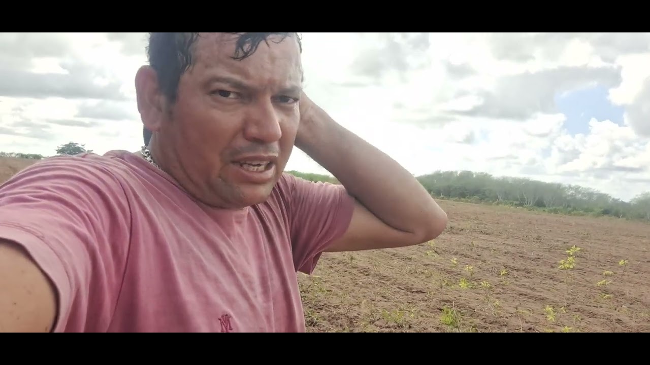Almi🌵 mostra o tamanho do roçado do nordestino.🌴🌵🪾😱🌴🌵🌲