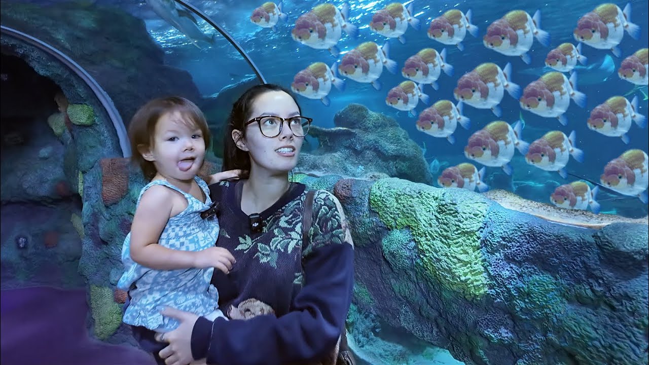 Aquarium Vlog