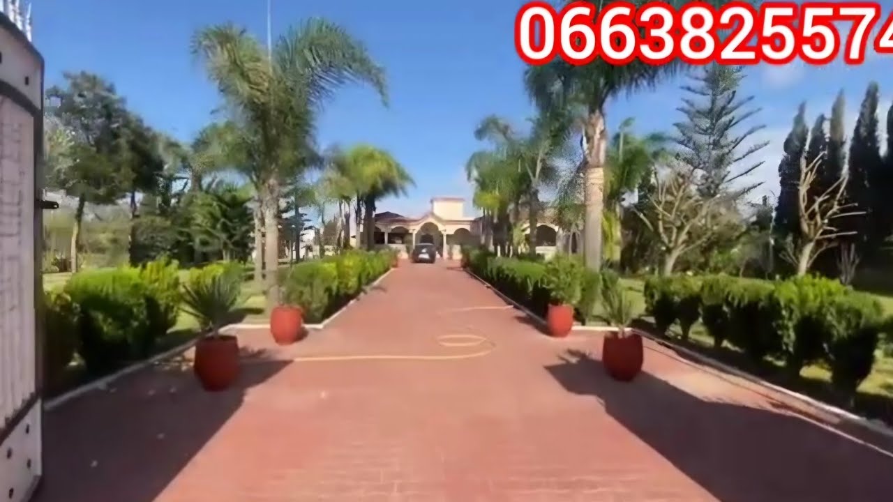 فيرما للبيع محفضة مسجلة نواحي بير جديد مصلوحة آكثر من رائعة همزة مايمكنش تفلتوها 👍 👍 👍