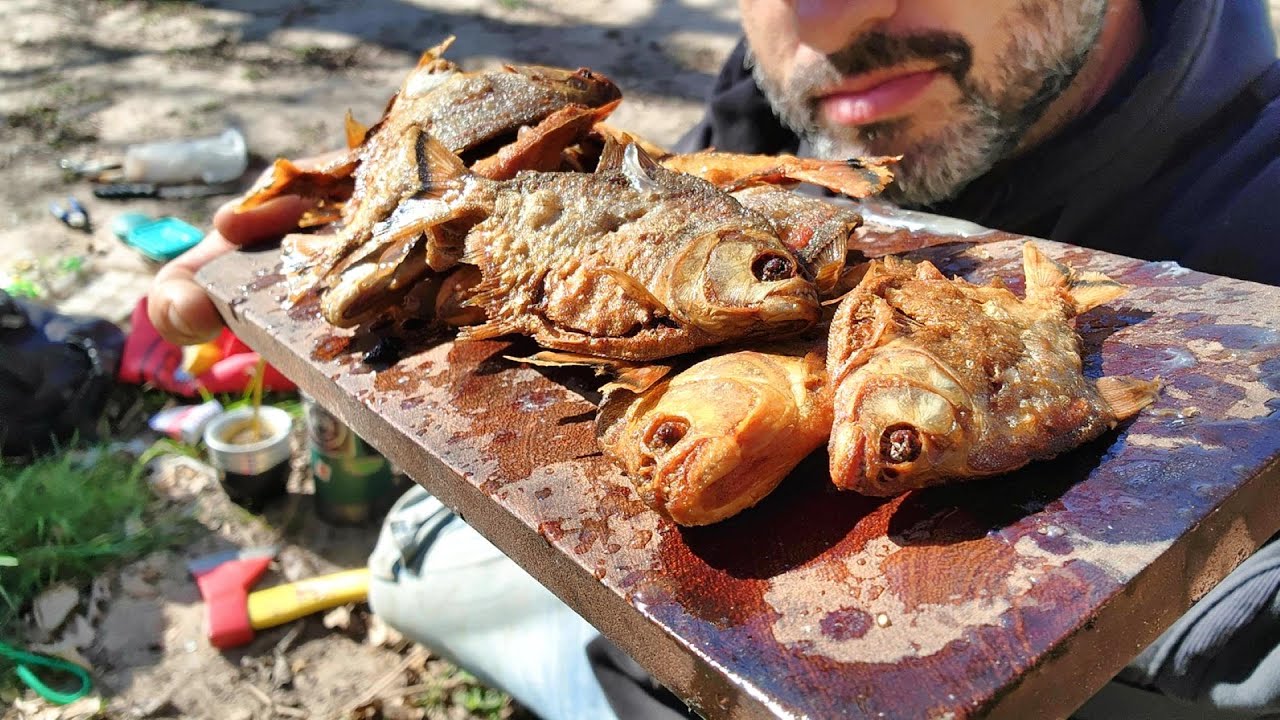 PESCA y COCINA. La LEYENDA del POMBERO. Aventura en la isla. Pesca urbana