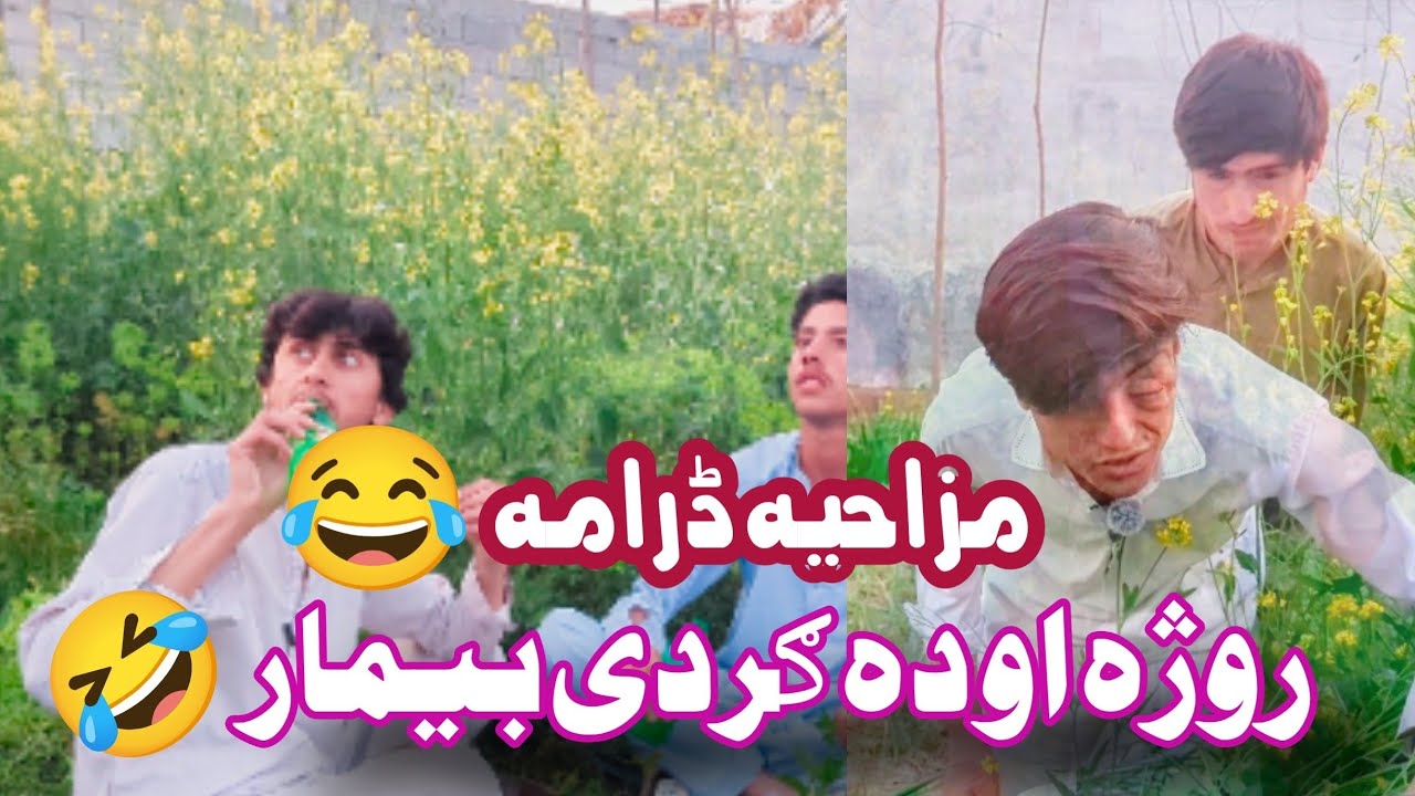 Roja Awo Da Gurde Dard 🤣 // funny videos // pashto funny videos // lk vines 