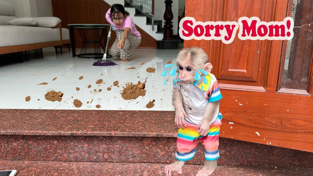 Can't help laughing: How did Lucky get so dirty that made mom so angry