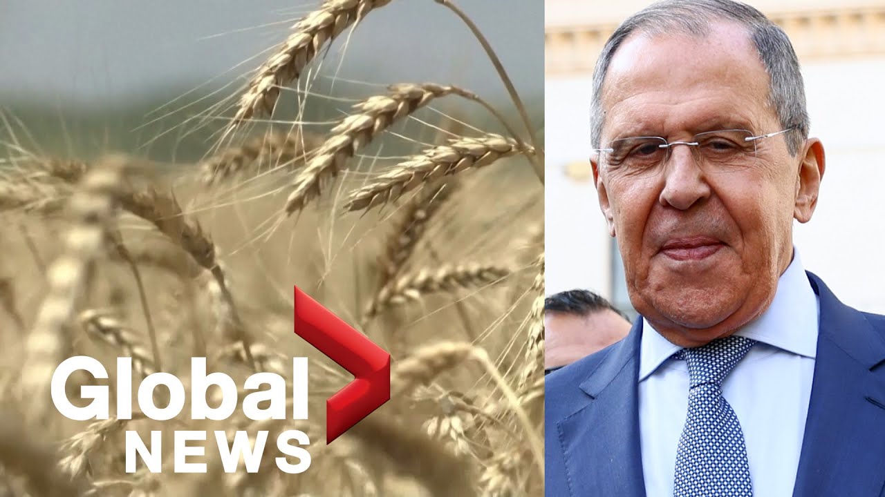 Russia&rsquo;s foreign minister offers reassurance over Russian grain supplies