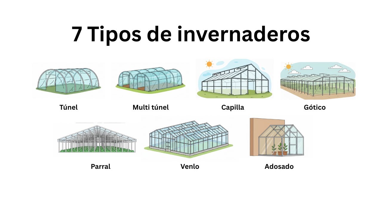 Los 7 tipos de invernaderos más comunes explicados en 4 minutos