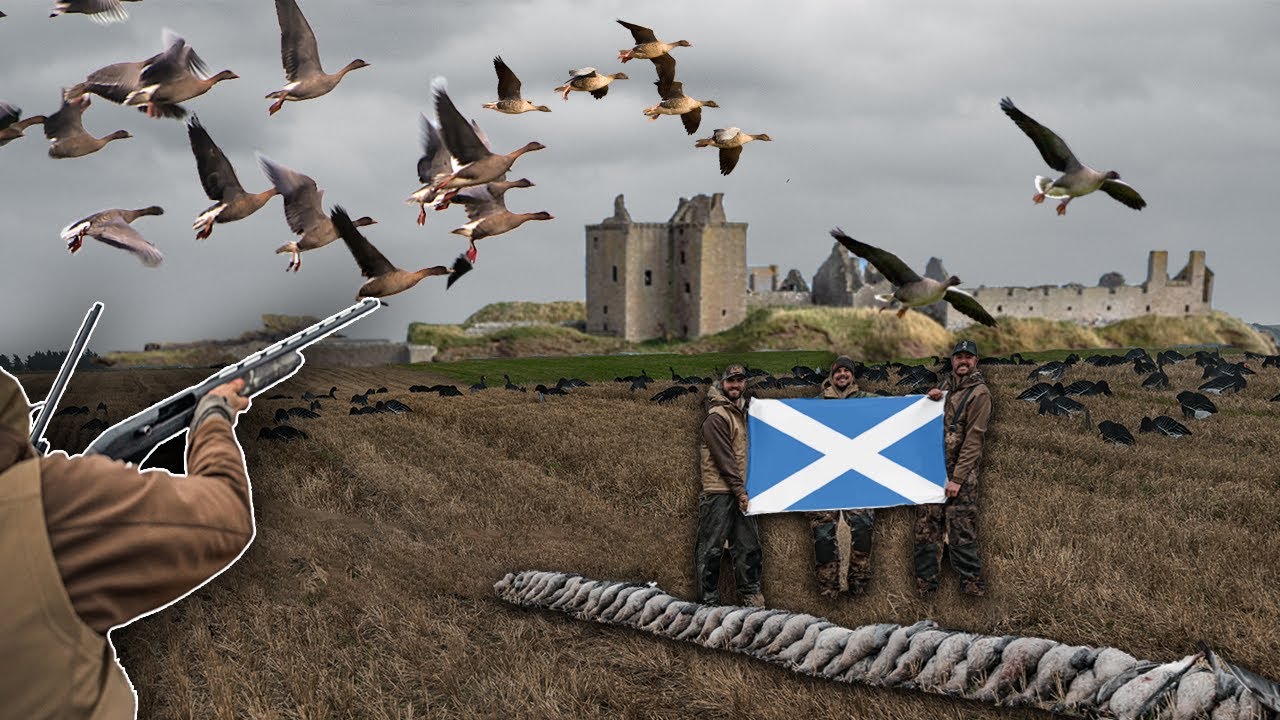 HUNTING PINK GEESE IN SCOTLAND!! (CASTLES, BAGPIPERS, AND MORE)