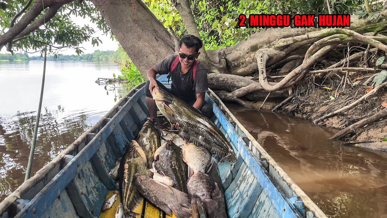 5 HARI CARI IKAN SAAT AIR SUNGAI SURUT & DAPAT BANYAK TANAMAN LIAR UNTUK DI MASAK😅 #bocahpecicilan