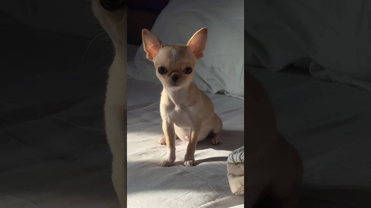 💔🥺арт вб: 323088002 