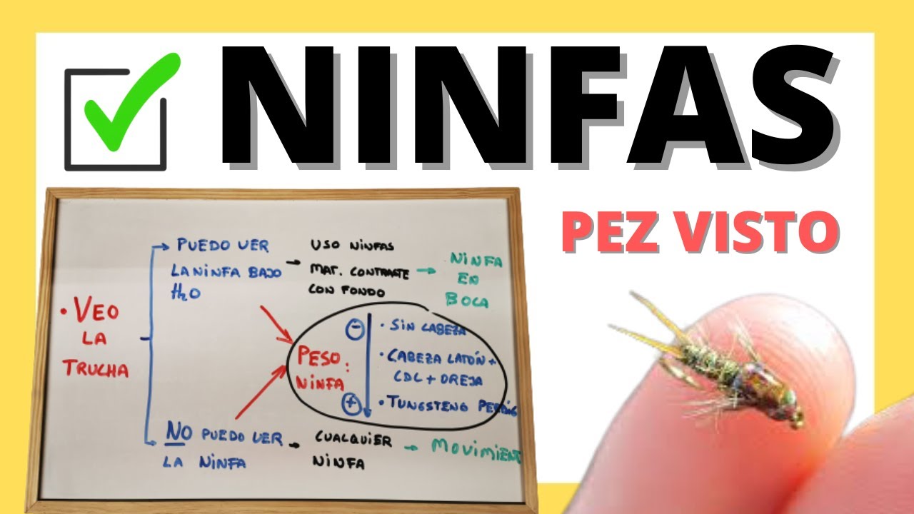 Ninfas para pescar a PEZ VISTO