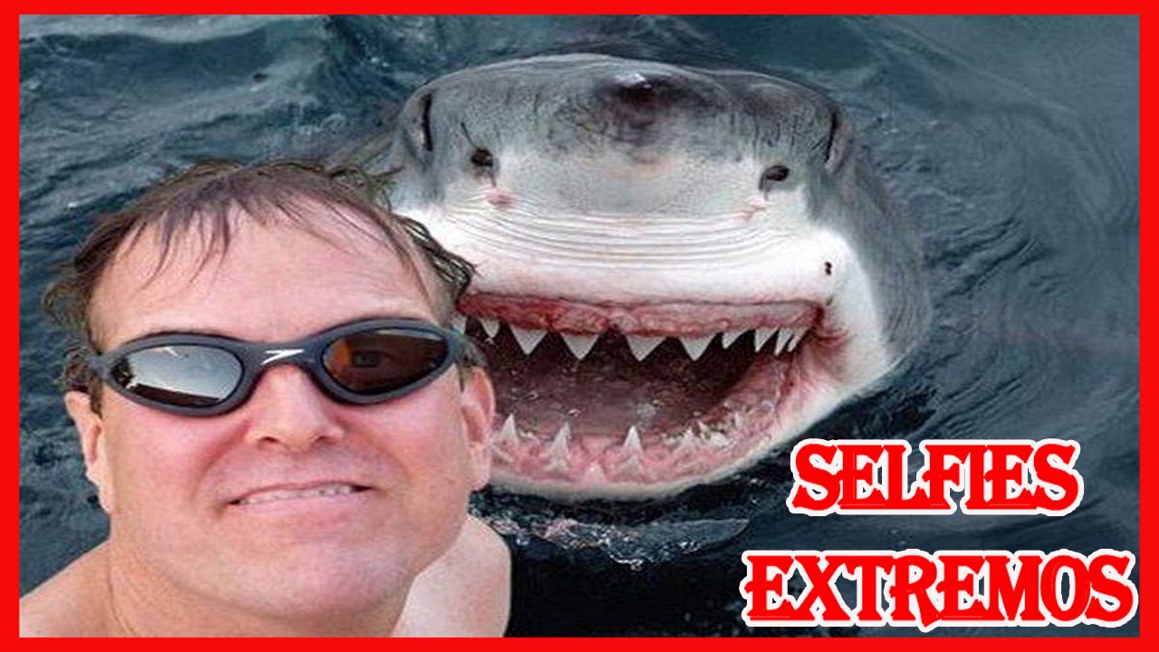 ✔VIDEO DE SELFIES Y FOTOS EXTREMOS-EXTREME SELFIES