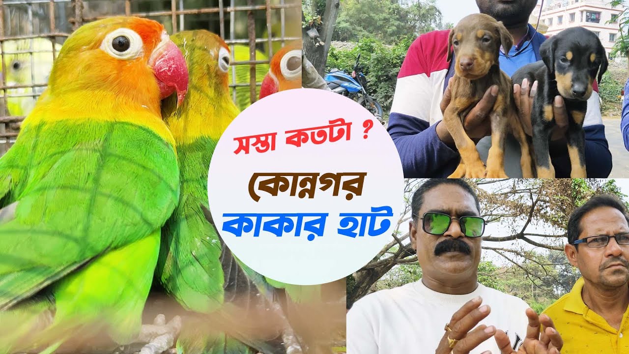 HOOGHLY KONNAGAR PET MARKET | CURRENT PRICE UPDATES | KONNAGAR কাকার হাট
