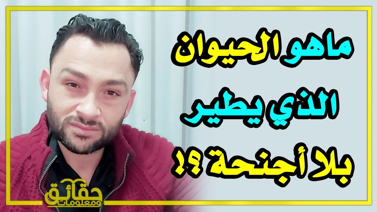 ماهو الحيوان الذي يطير بلا أجنحة؟ ومن هو اول من اختتن من الرجال والنسا؟