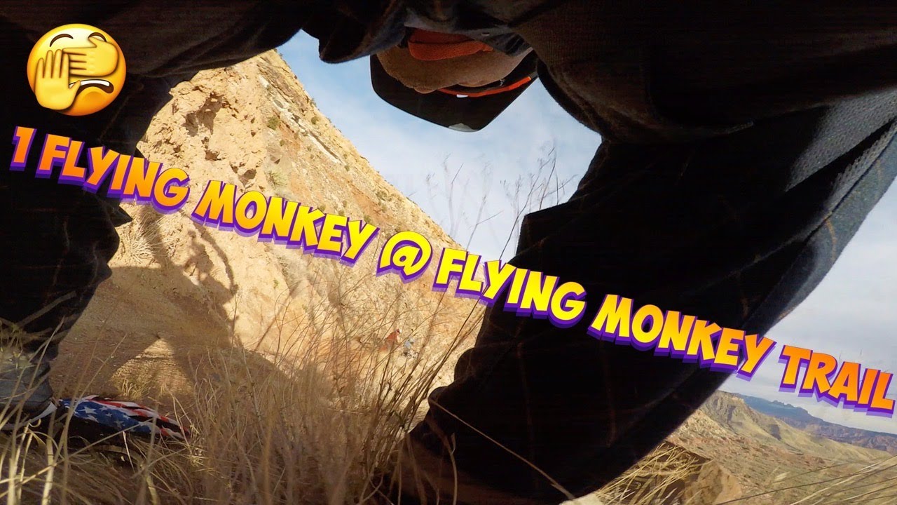 Flying Monkey Super Mario Style at Hurricane Utah...