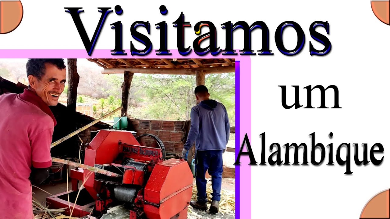 Produ&ccedil;&atilde;o de Cacha&ccedil;a, visitamos um alambique.