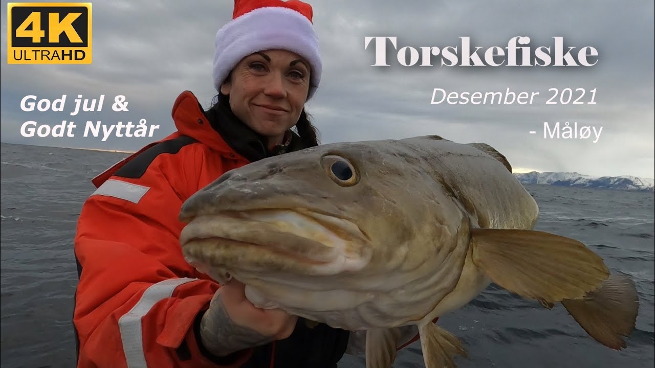 Torskefiske desember 2021 - Merry Christmas - May Liza Johansen, Kato Andre Bøe, Børre Taklo