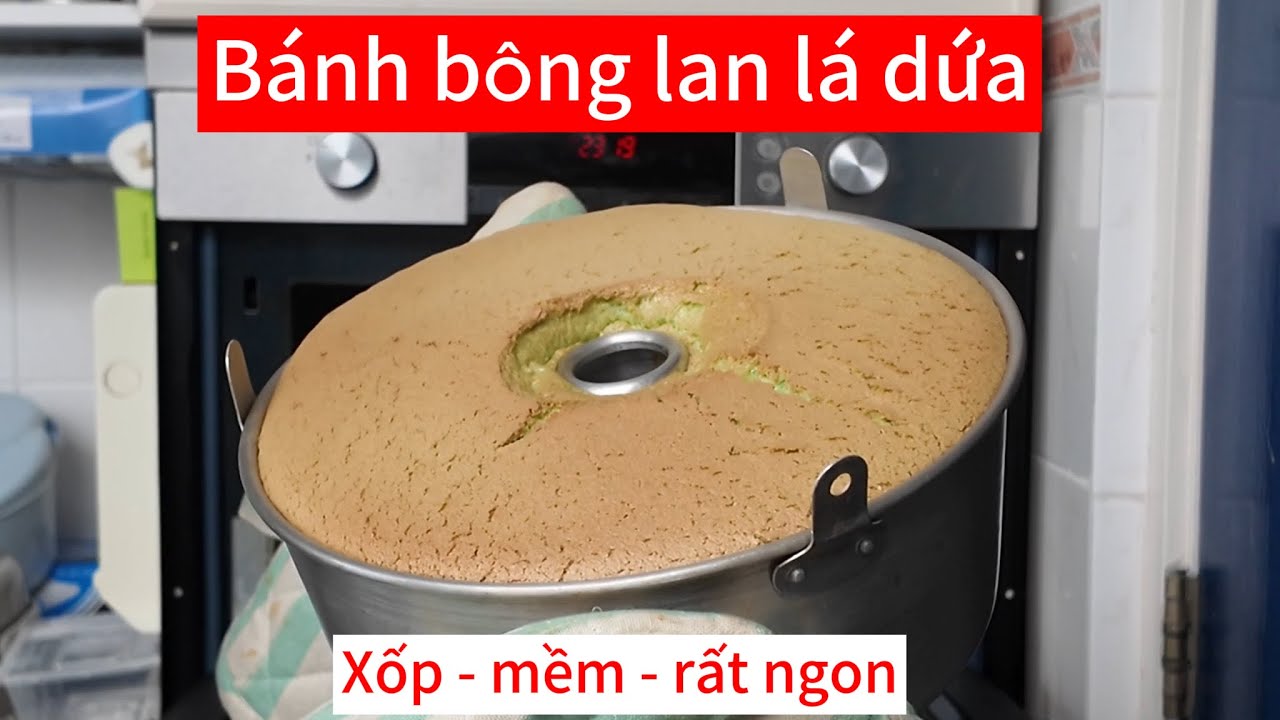 Bánh bông lan chiffon lá dứa dễ làm, rất ngon | Ánh Nguyệt cuộc sống Hà Lan