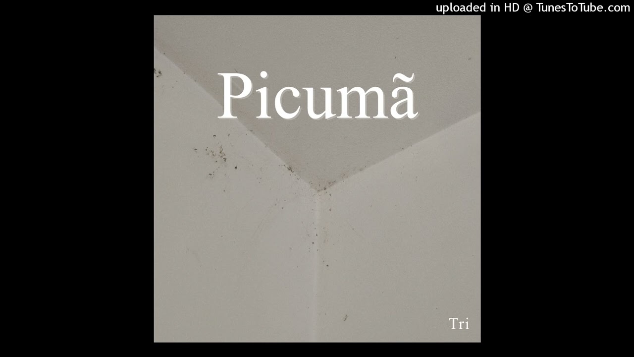 Cooper Flagg - Picum&atilde; #music #song