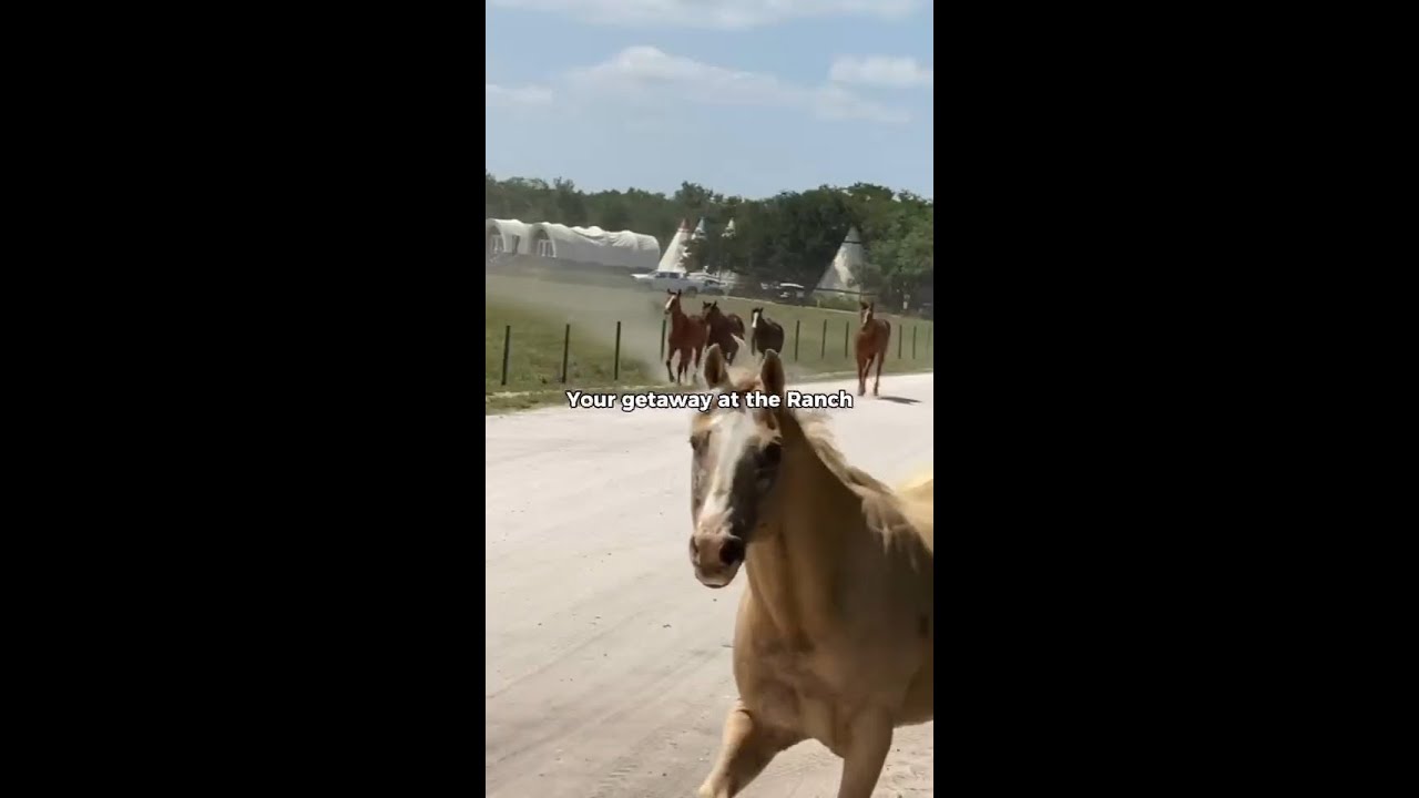 Best Glamping Resort in Florida | Westgate River Ranch Resort & Rodeo
