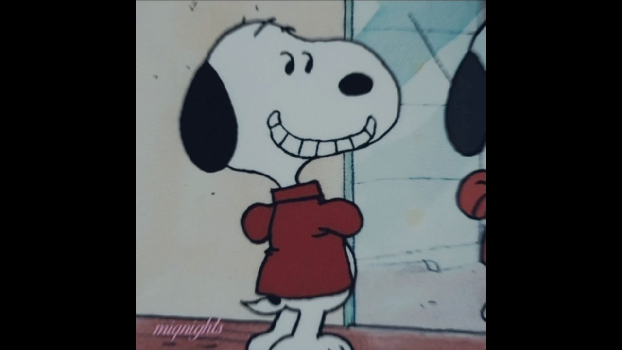 my baby snoopy//#edit #blowup #snoopy #snoopymuseum #softedit #woodstock #peanuts #charliebrown