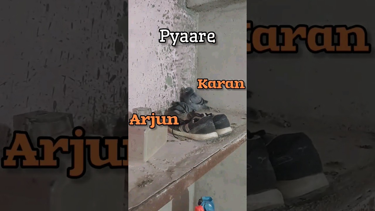 Mere Pyaare Karan Arjun 😊 (136) 