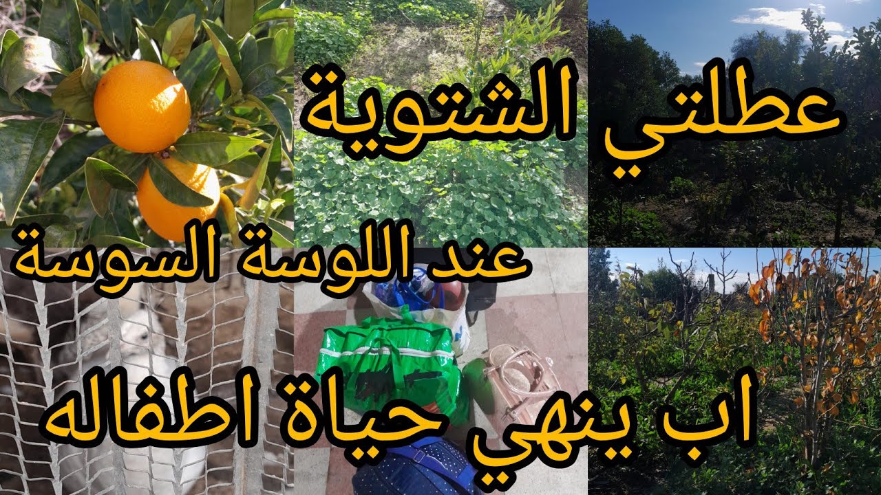 اب ينهي حياته وحياة ابنائه الخمسة زيارتي لاهل زوجي فالعطلة 