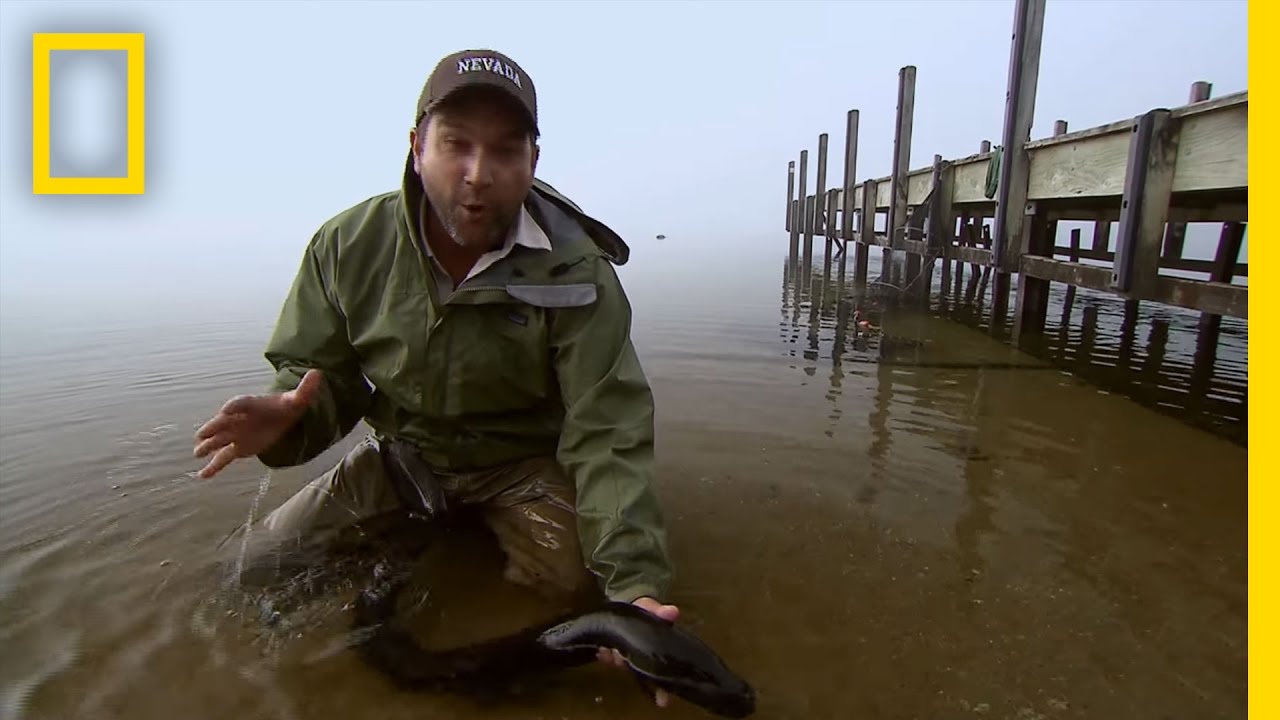 Meet Zeb Hogan | National Geographic