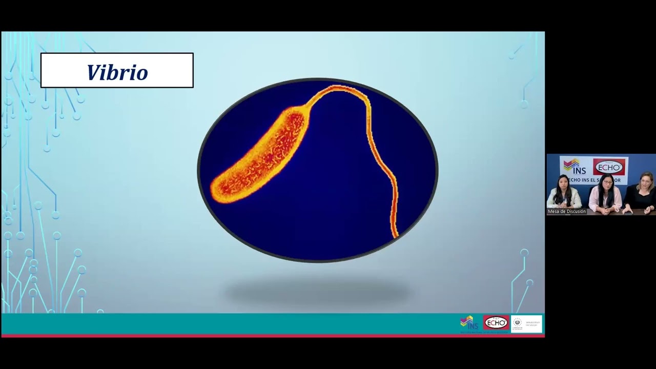Generalidades Aeromonas, Vibrio y Plesiomonas