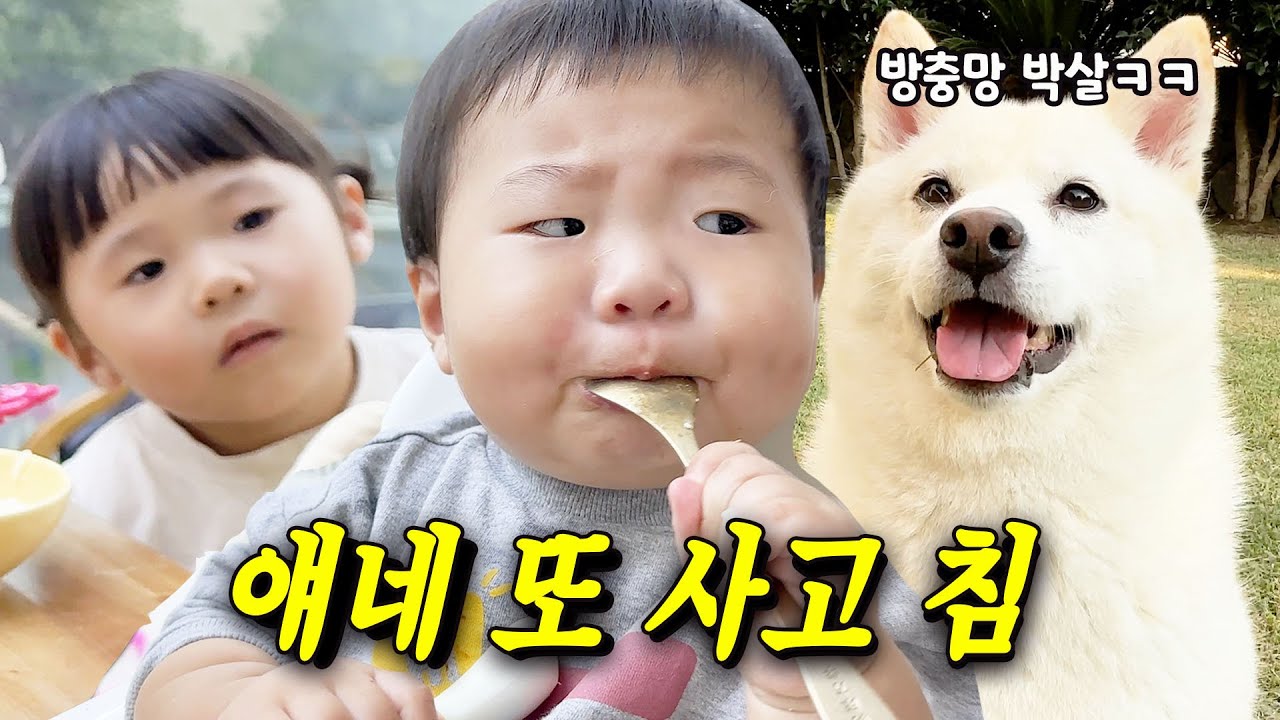아기 둘, 강아지 세마리 육아...  밥한번 챙겨먹이기 정말 힘드네요 ㅠㅠ