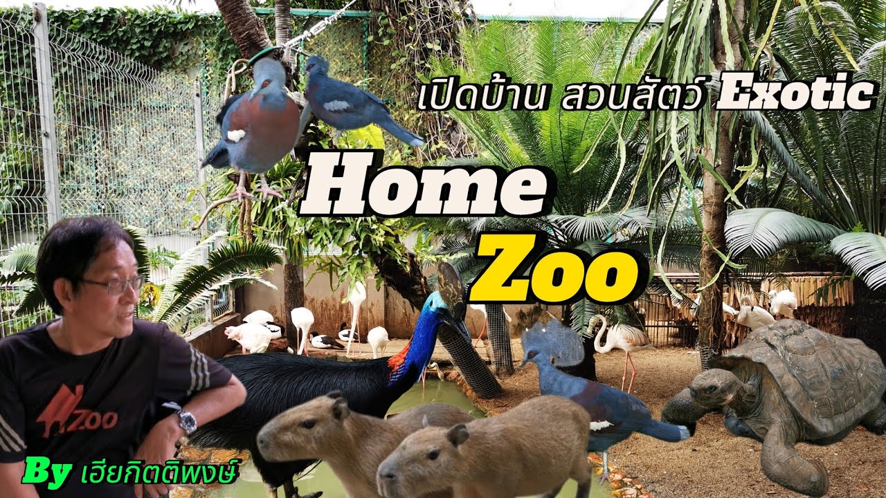 Home Zoo​ สวนสัตว์​ในบ้าน​ สัตว์​แปลก Exotic​