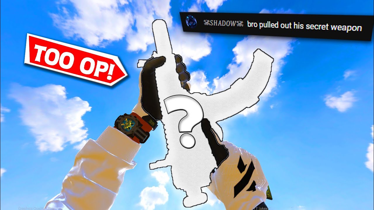 I Used The MOST HATED Weapon in Combat Master... (They hate me now)