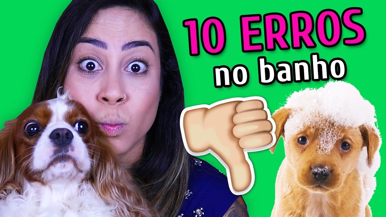10 ERROS COMUNS AO DAR BANHO NO SEU CACHORRO!