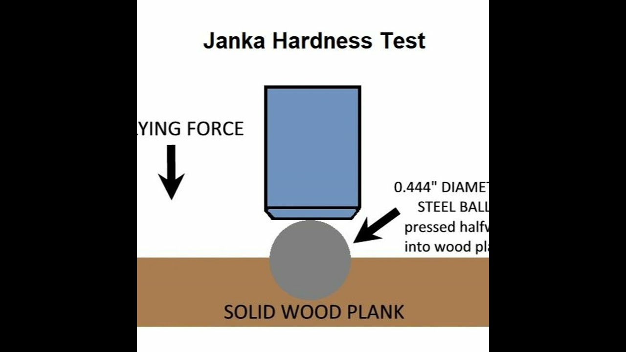 Episode 20 Janka Hardness