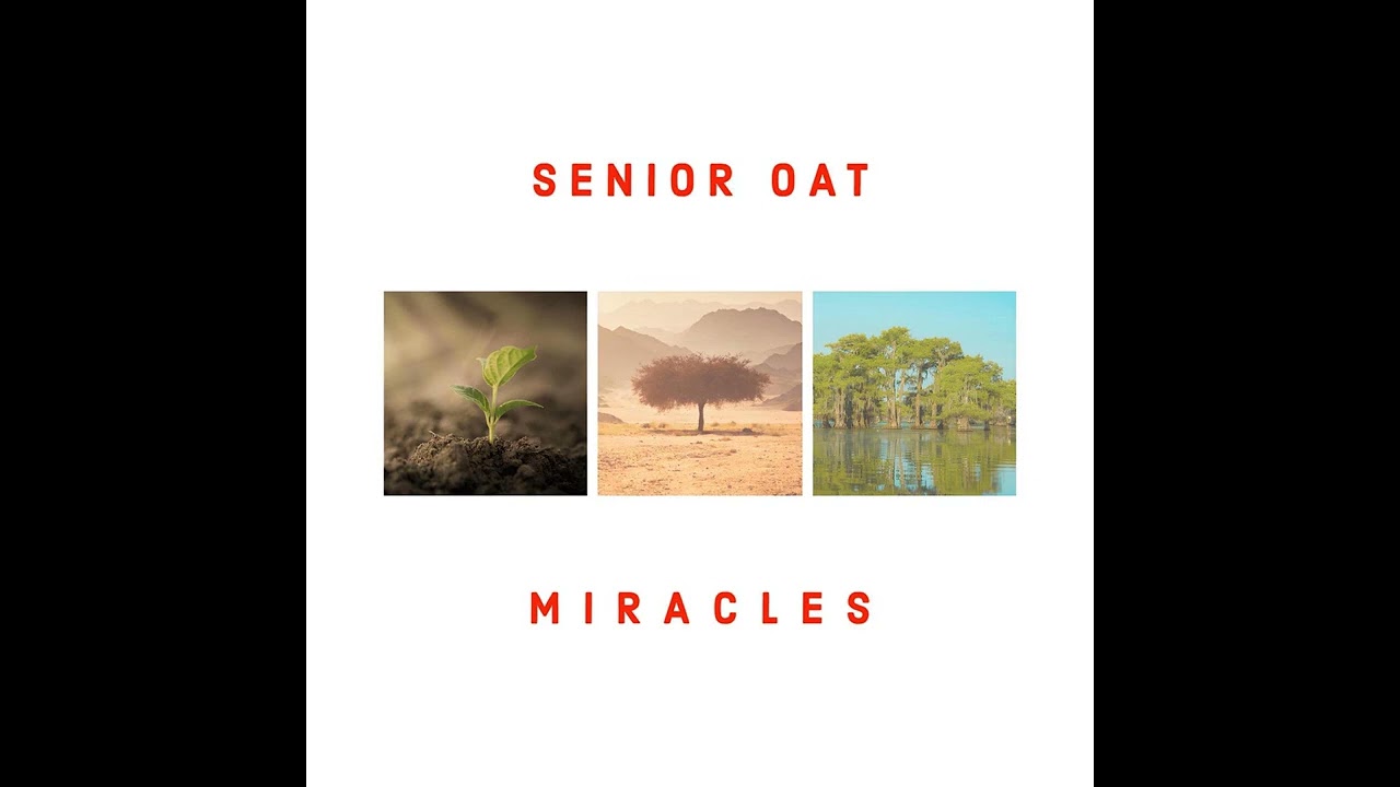 Senior Oat, Jay Sax - Faithful Melody || Deep House Source