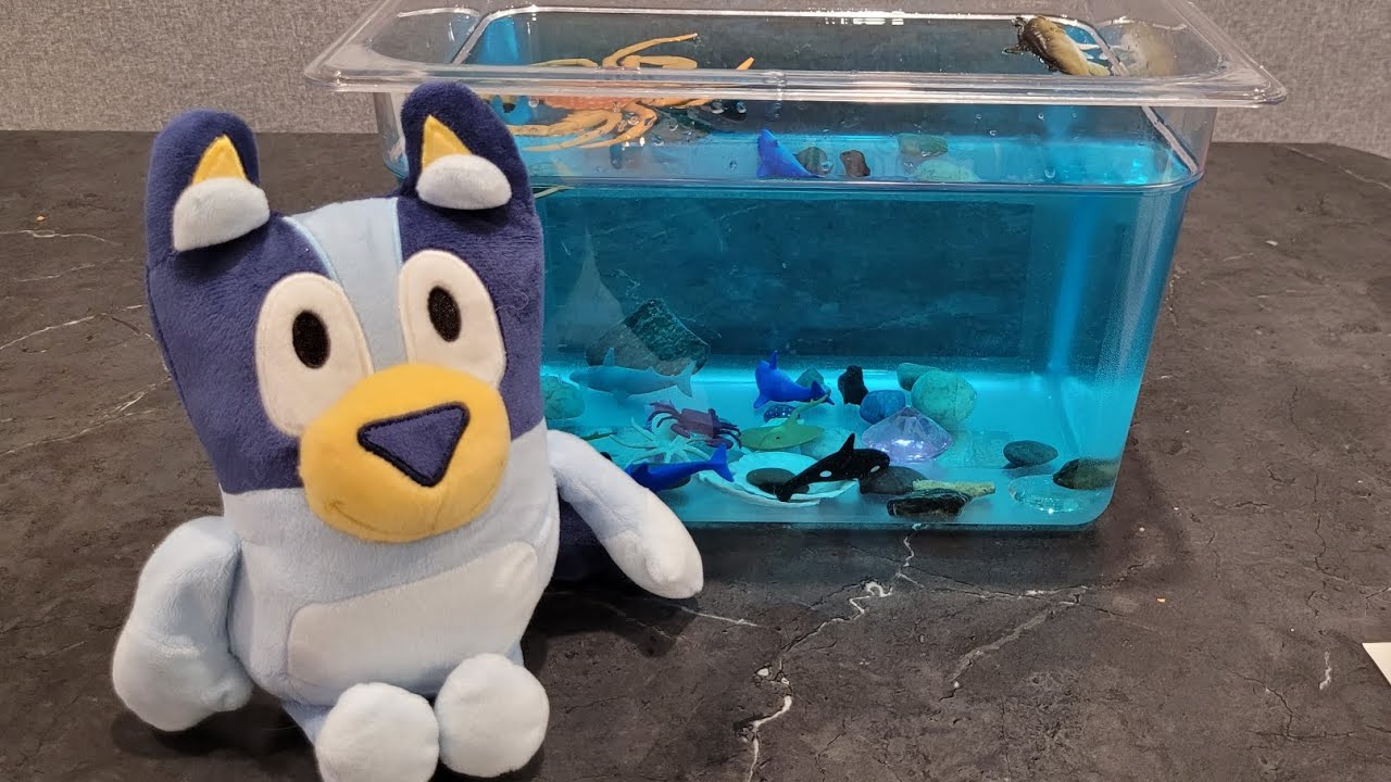 Rainbow Playtime - Bluey makes an aquarium!
