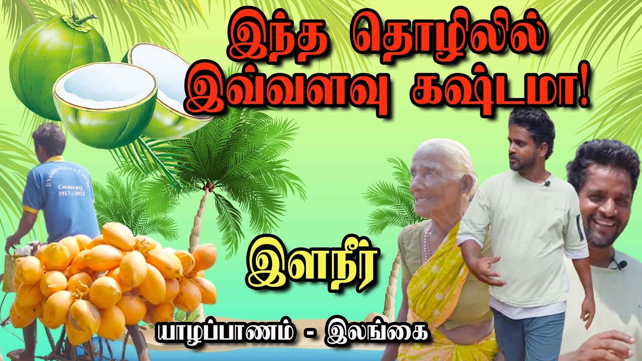 இளநீர் 🌴🌴🌴 தொழிலாளிகளின் தெரியாத மறுபக்கம் | UC Vlogs | Jans Henry | Tasty Jaffna Coconut 🥥🥥🥥 Water