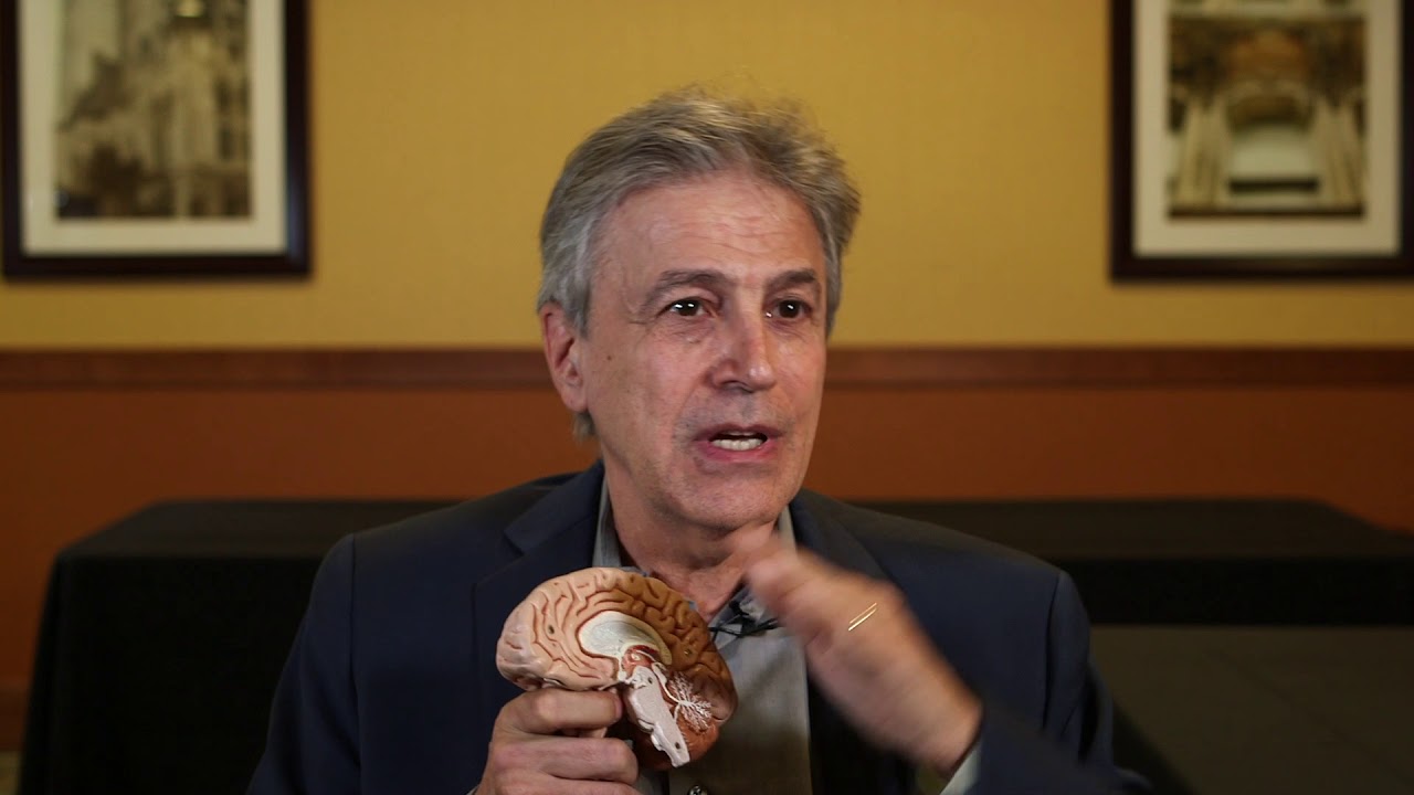 Brainspotting Limbic Countertransference