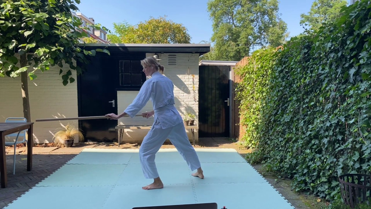 Aikido at home: online seminar w/ Patricia Hendricks (part 1/2)