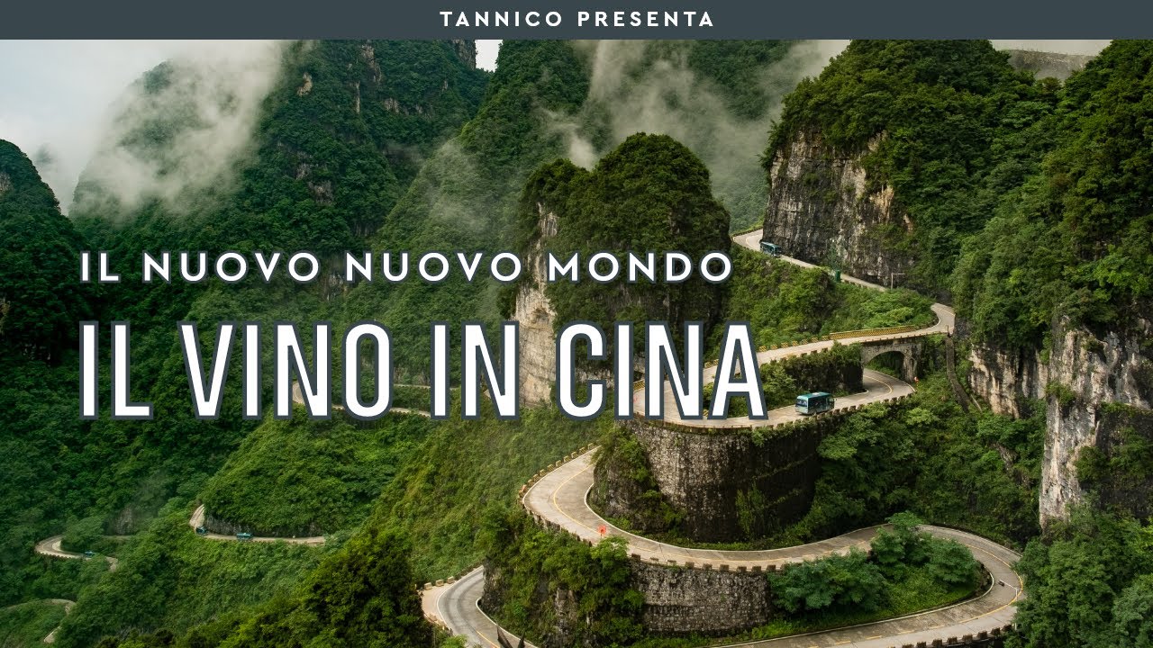 Il vino in Cina: la storia e i territori | Tannico