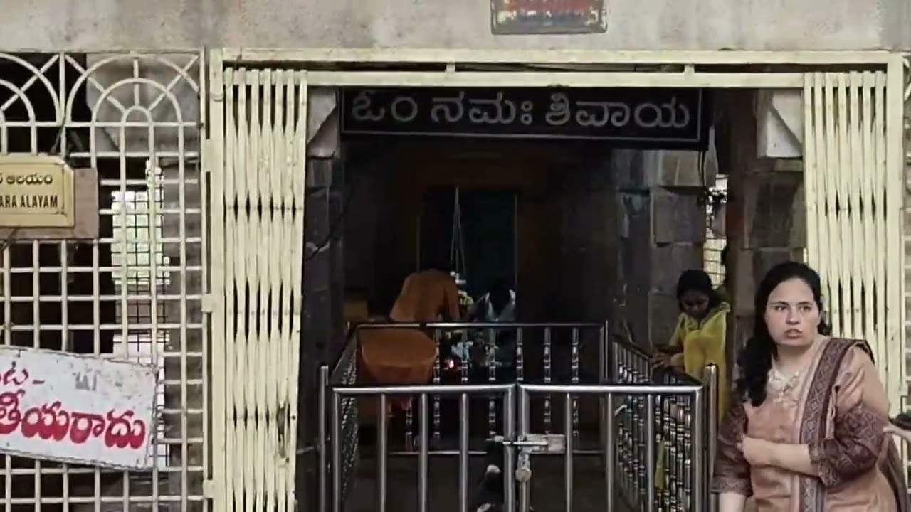 Shree Mallikarujana jyotirlinga Darshan | Brambaramba Shaktipeeth Darshan | SRISAILAM - Travel Vlog