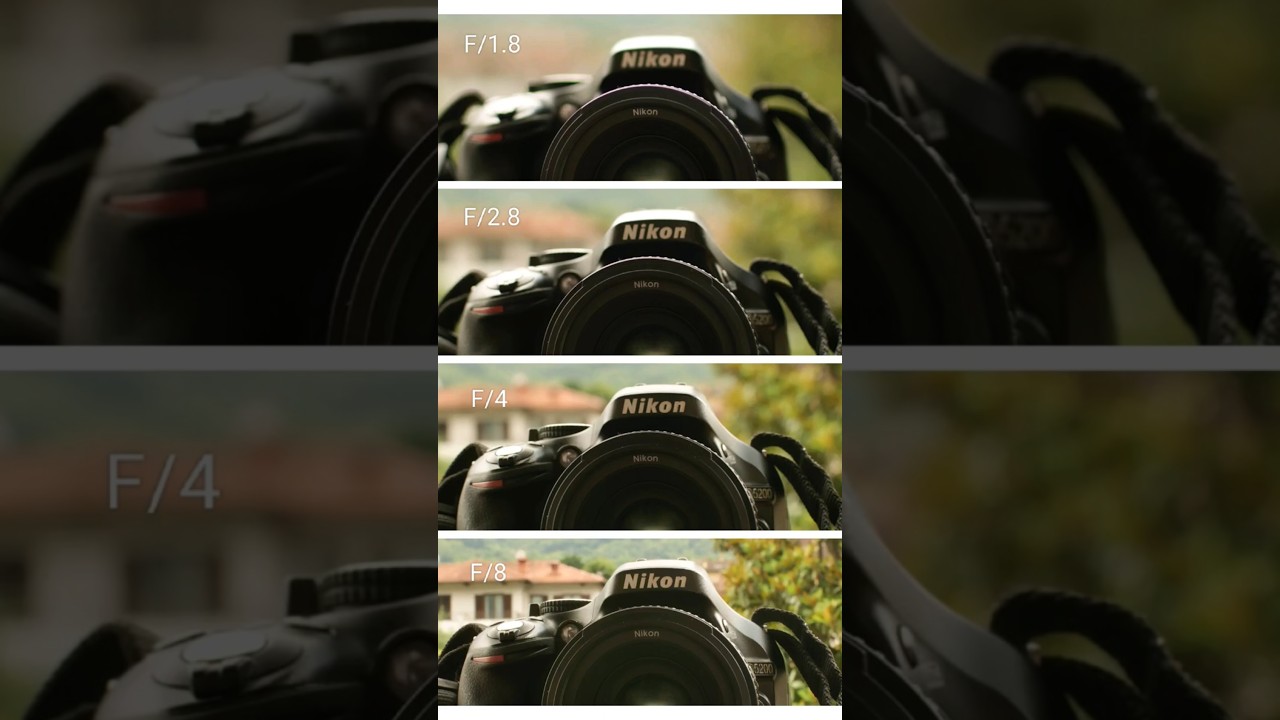 Depth of field! This photos show you visually how it works!