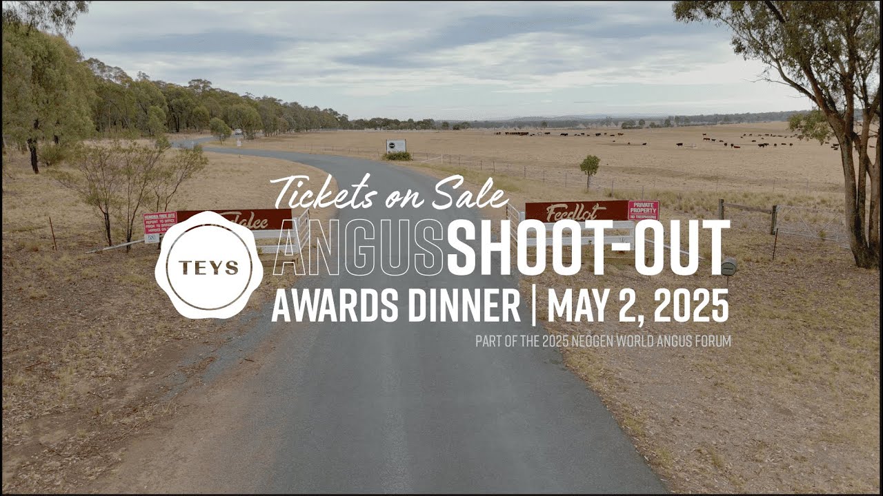 🎯 TEYS AngusSHOOT-OUT Competition Tickets ON SALE NOW! | Zoetis Angus Expo 2025