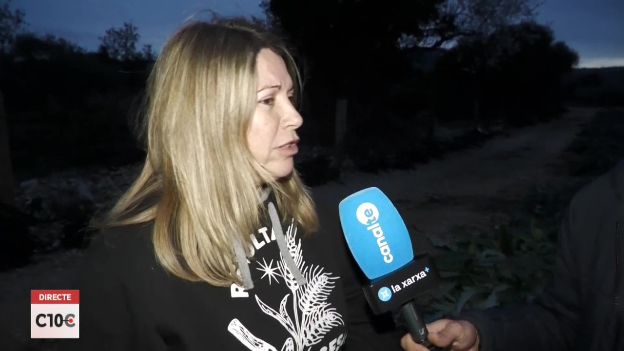#C10C Parlem amb productors de carxofa de les Terres de l'Ebre per saber com està anant la campanya.