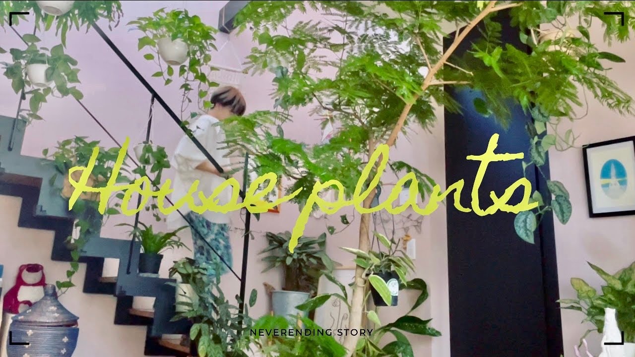 【plants tour】プランツツアー/階段まわりの植物/観葉植物/玄関まわり/entrance/観葉植物インテリア/ボタニカルライフ/gardening/ガーデニング/관엽 식물