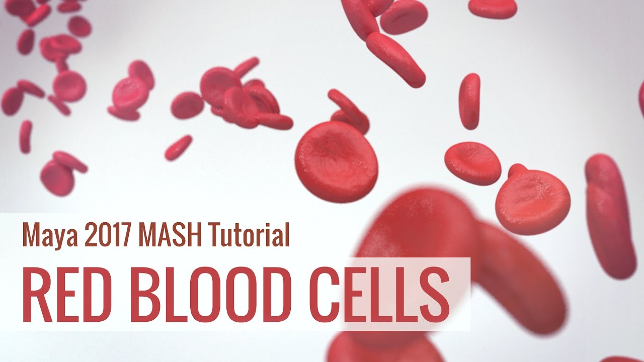 Animate Red Blood Cell Flow using Maya MASH Motion Graphics - Medical Animation Tutorial