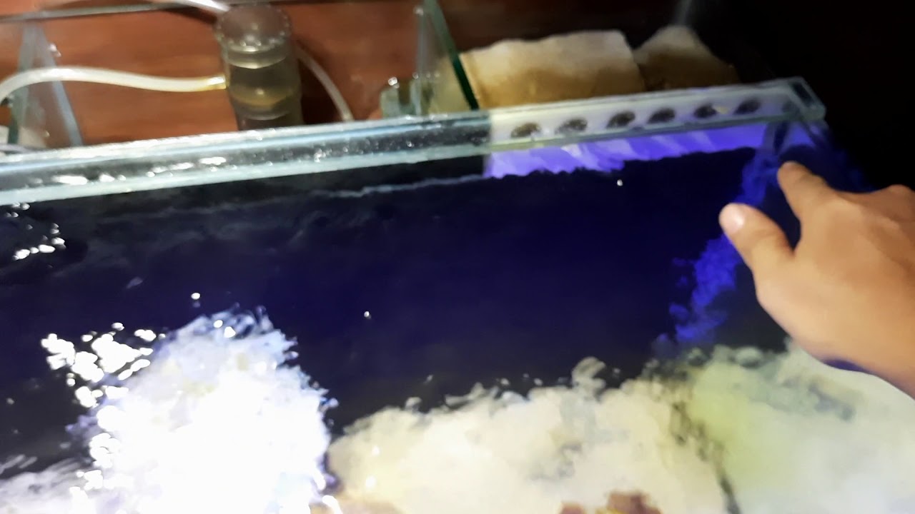 pemasangan WAVE MAKER yang benar, agar perputaran air d aquarium lancar.