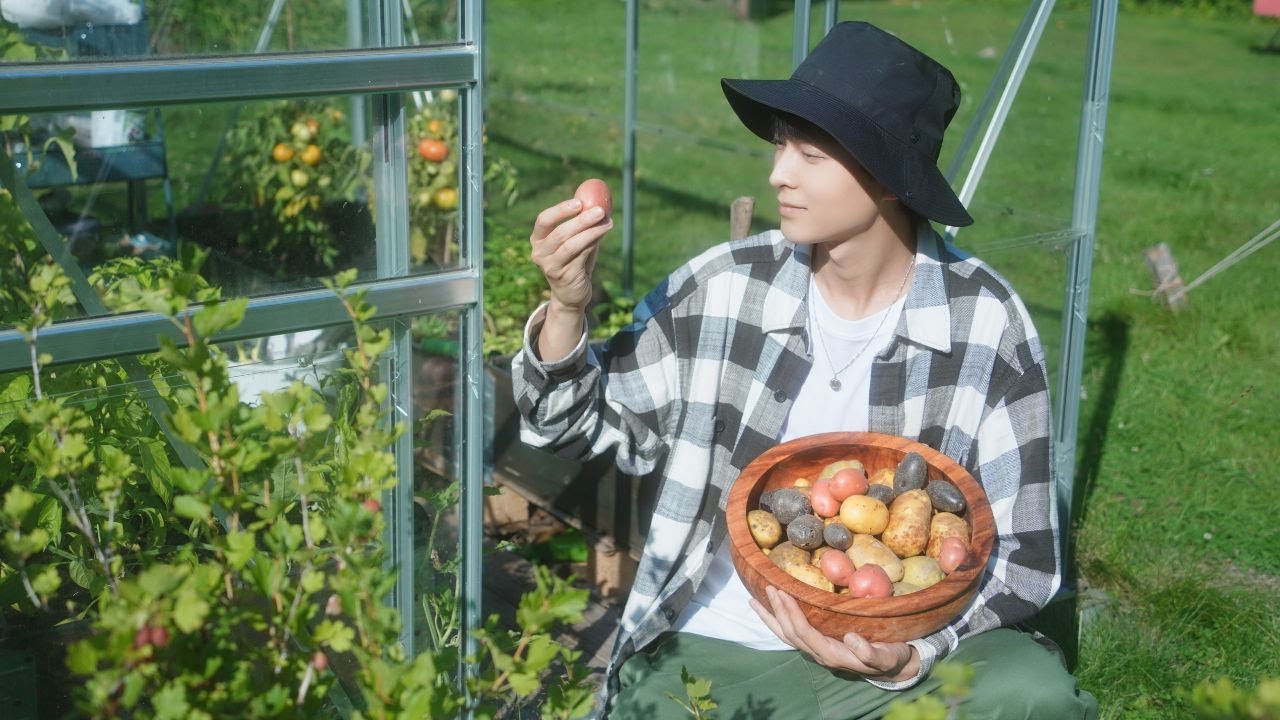 Amazing Colorful Potato Harvest in Our Summer Garden | Slow Life in the Finnish Countryside