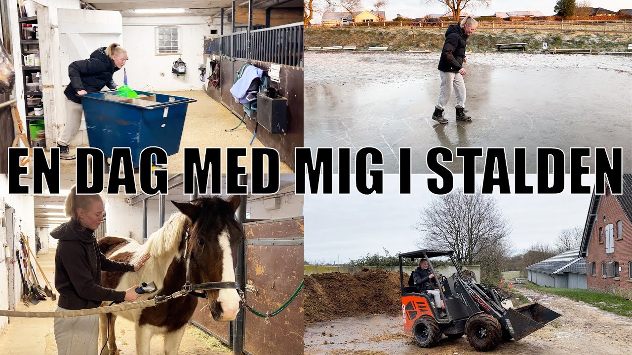 EN DAG MED MIG I STALDEN