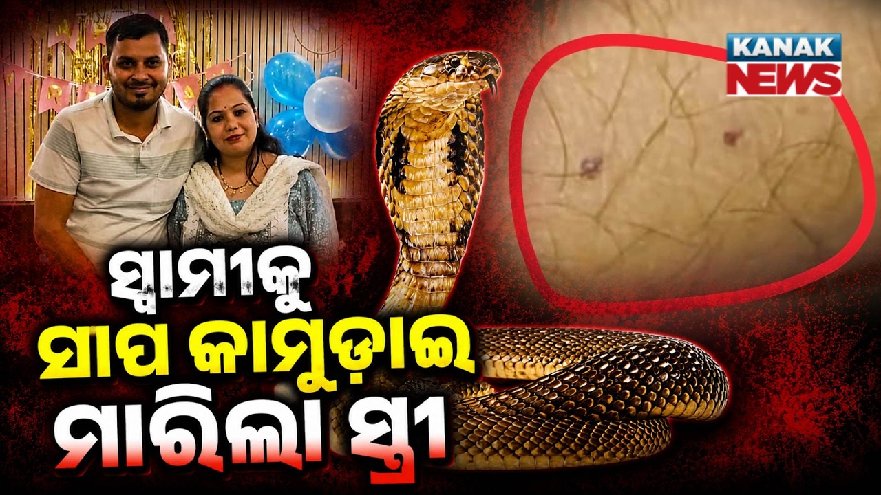 Special Report: Meerut Case | Wife, Lover Used Venomous Snake to Kill Husband, Police Reveal Plot