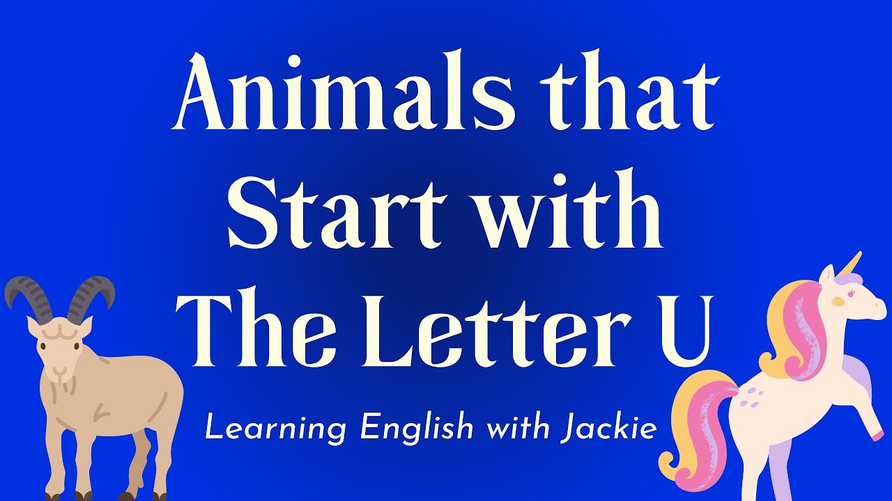 Animals that Start with The Letter U | Animal Vocabulary